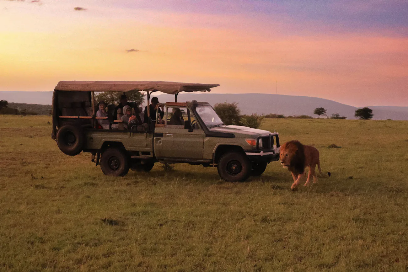 Safari vehicle on the Masai Mara