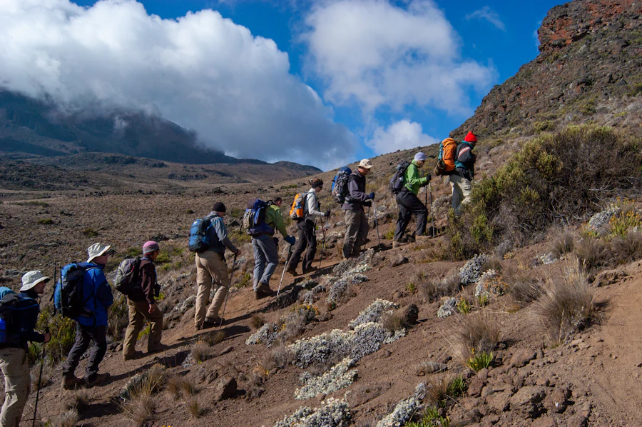 Trekkers on a high Kilimanjaro ridge above the clouds
