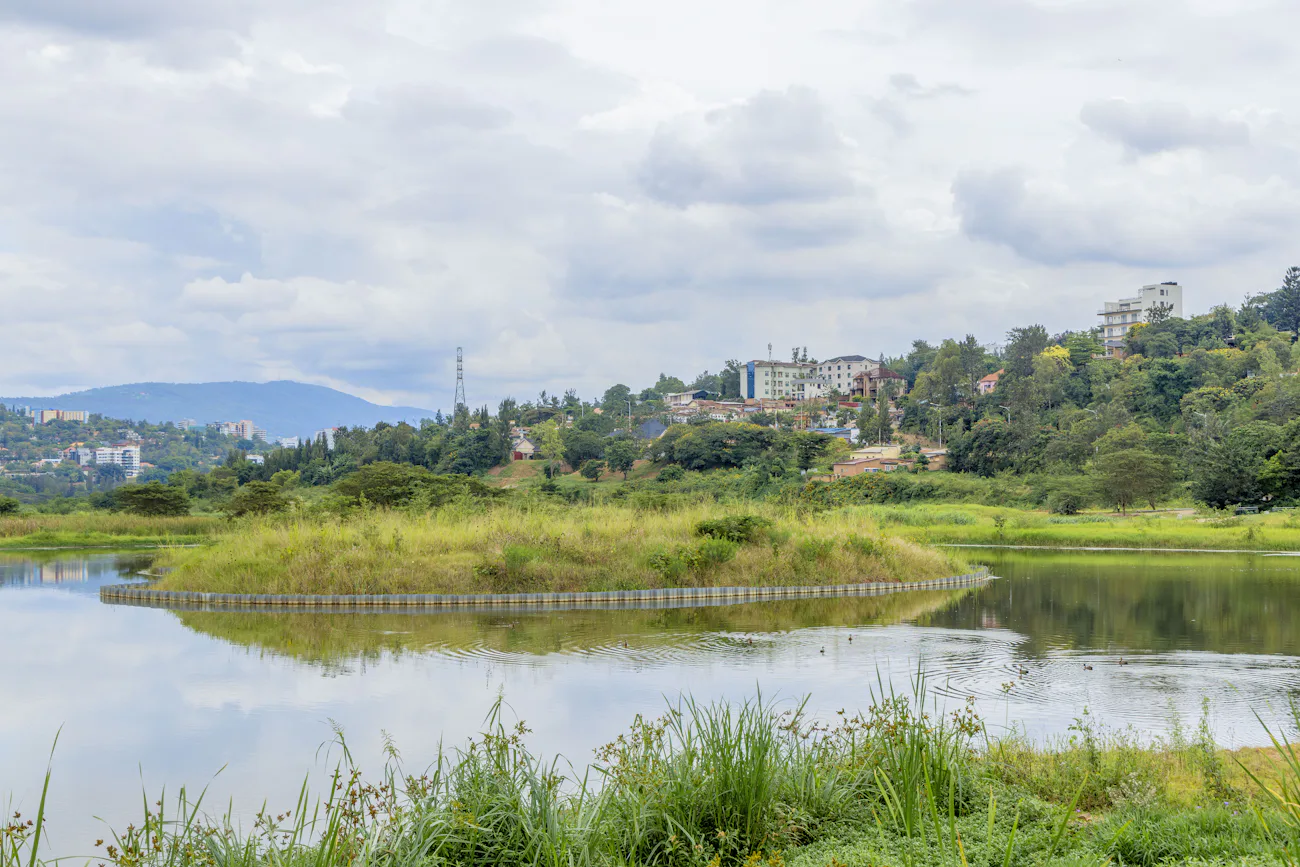 Terraced green hills rolling to the horizon in Rwanda