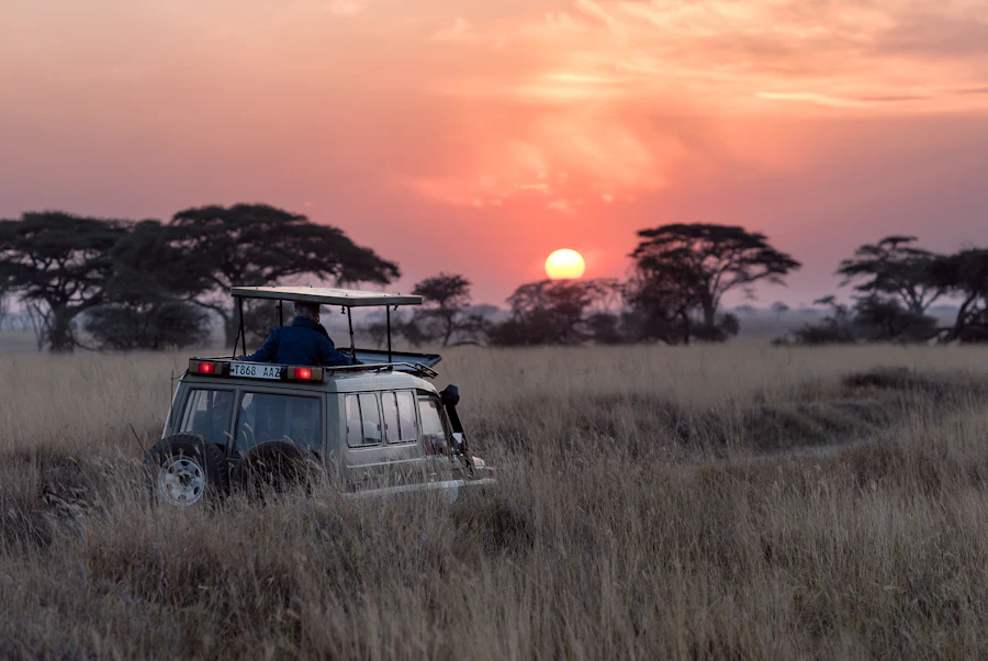 A safari guide scanning the plains from an open vehicle