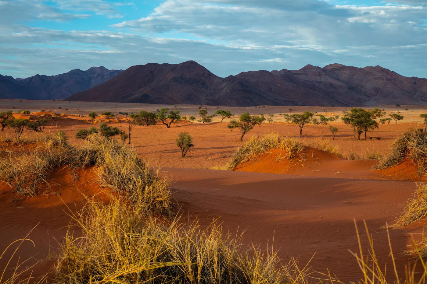 Red dunes at Sossusvlei