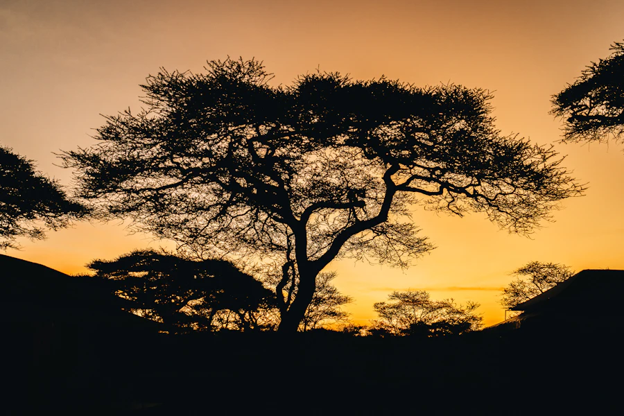 A campfire glowing at dusk beside a safari camp
