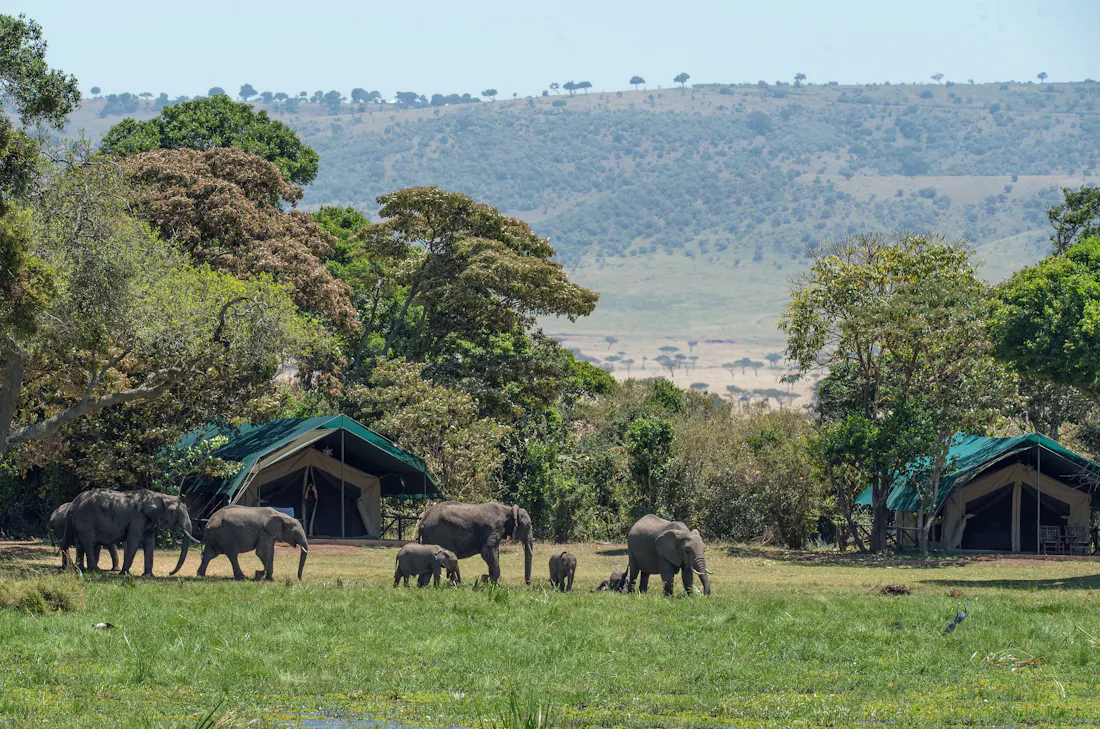 A luxury tented camp at dusk