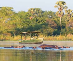 Liwonde National Park