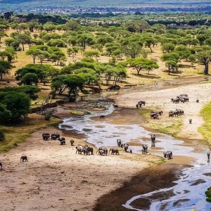 Tarangire National Park
